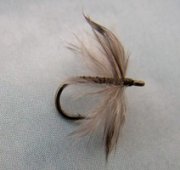 Soft Hackle Aftershaft Fly 