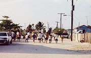 A Volleyball Game