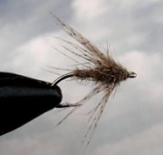 Soft Hackle Bonefish Fly