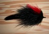 Click to view this fly Click to view this fly