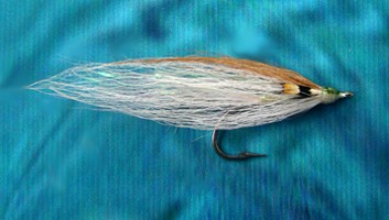 Anchovy Beauty
