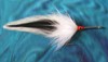 Click to view this fly