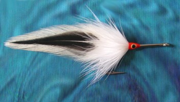 Badger and White
