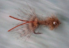 Bonefish Bug