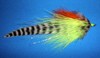 Click to view this fly