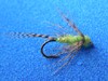 Click to view this fly Click to view this fly