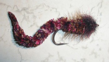 Cinder Worm