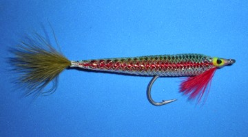 Corsair Minnow, Bearded