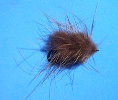 Coypu Mouse