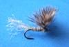 Click to view this fly Click to view this fly