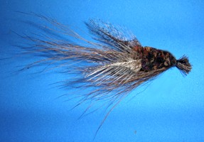 Gartside Crayfish