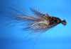 Click to view this fly Click to view this fly