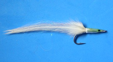 Cape Cod Sand Eel