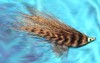 Click to view this fly