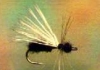 Click to view this fly Click to view this fly