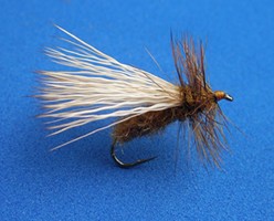 Elk Hair Termite