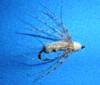 Click to view this fly Click to view this fly