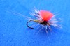 Click to view this fly