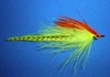 Click to view this fly Click to view this fly