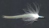 Click to view this fly