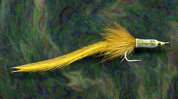 FishHead Sand Eel