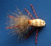 Click to view this fly