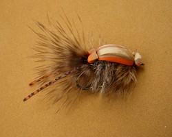 Floating Crab