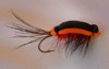 Click to view this fly