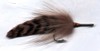 Click to view this fly