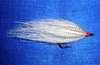 Click to view this fly
