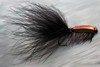 Click to view this fly