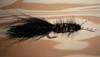 Click to view this fly