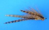Click to view this fly Click to view this fly