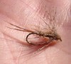 Click to view this fly Click to view this fly