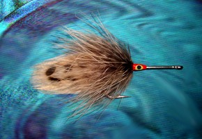 Hen Pheasant Tarpon Fly