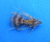 Click to view this fly Click to view this fly