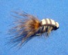 Click to view this fly Click to view this fly
