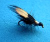 Click to view this fly Click to view this fly