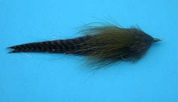 Large Ocean Sand Eel