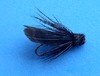 Click to view this fly Click to view this fly