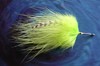 Click to view this fly