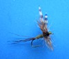 Click to view this fly Click to view this fly