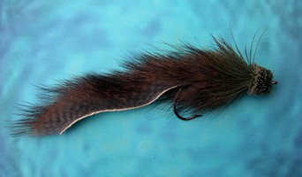 Mongolian Mouse