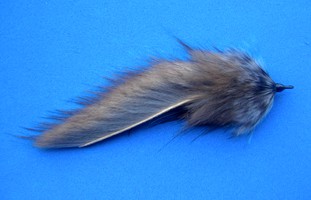 Muskrat Mouse