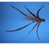 Click to view this fly Click to view this fly