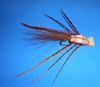 Click to view this fly Click to view this fly