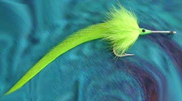Needlefish
