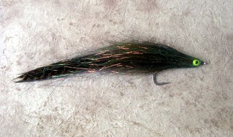 Large Ocean Sand Eel, GSS