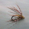 Click to view this fly Click to view this fly