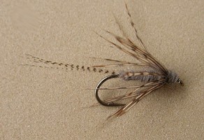 Partridge and Muskrat Nymph